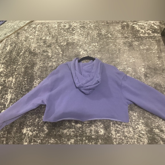 Lilo and Stitch Graphic Cropped Hoodie - Picture 2 of 2